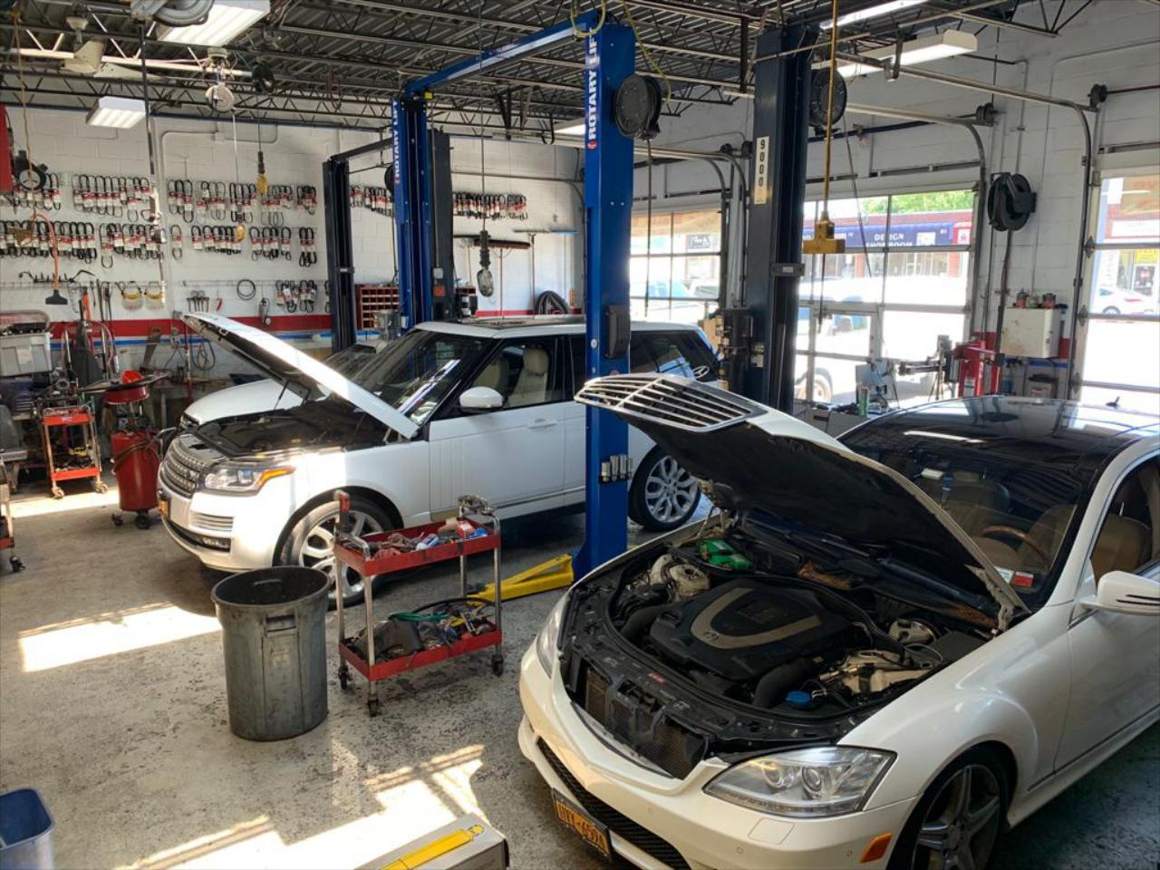 Professional Auto Mechanic